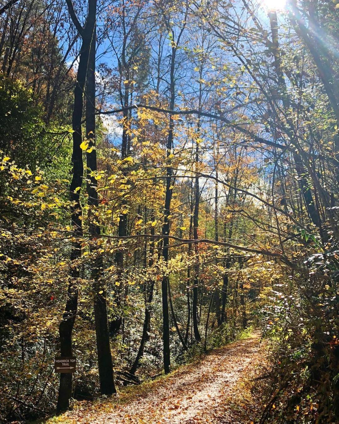 Vila Thunder Mountain Sevierville Exteriér fotografie